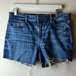 American Eagle Next Level Stretch Hi Rise Jegging Short Jeans